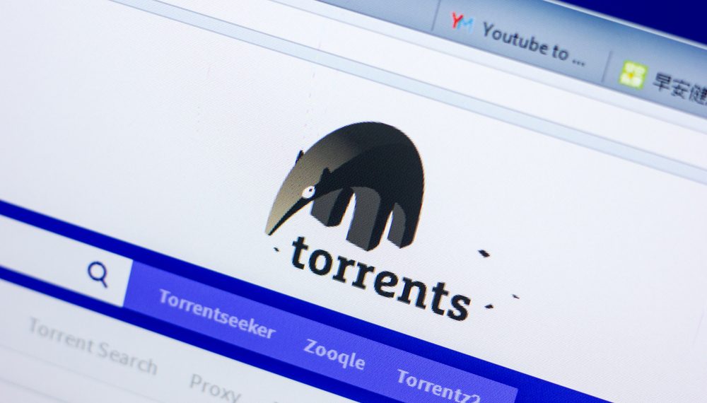How to Protect Yourself When Downloading Torrents