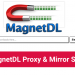 MagnetDL Proxy 100% Working List to Unblock MagnetDL