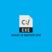 What is instup.exe & and how to Fixed for Hogging CPU Error