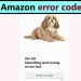How to fix Amazon Error Code CS11 on 2022