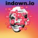 indown.io : Instagram Video Download Tools: A Look at indown.io and Safety Concerns