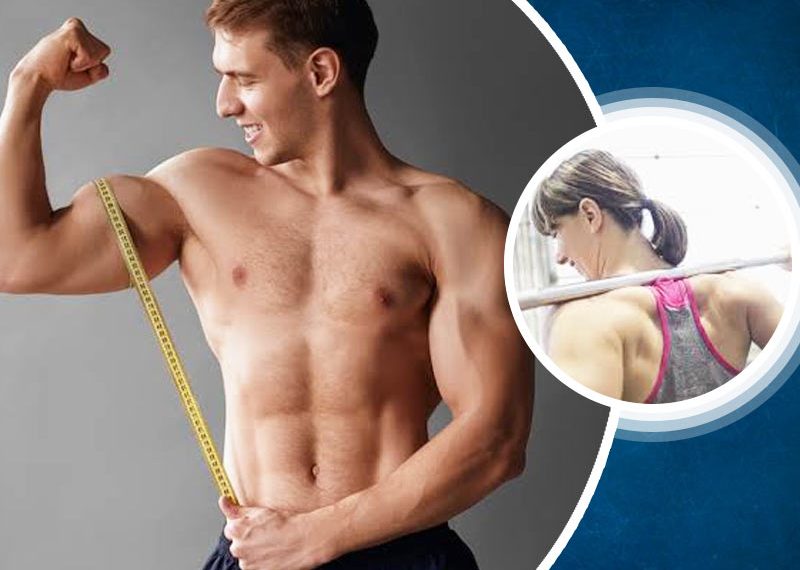 WellHealthOrganic.com: How to Build Muscle: Tips to Increase Muscles