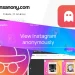 Insanony for Watching Instagram Stories: The Ultimate Guide in 2024