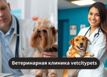 Ветеринарная клиника VetCityPets: All in One Care for Your Beloved Pets