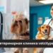 Ветеринарная клиника VetCityPets: All in One Care for Your Beloved Pets
