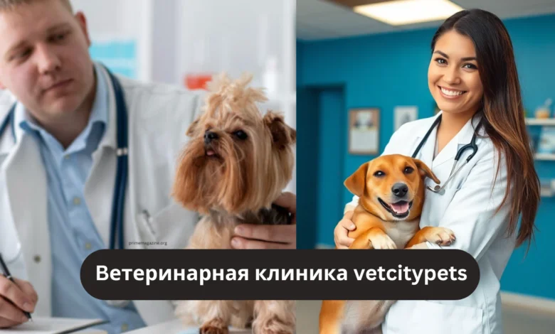 Ветеринарная клиника VetCityPets: All in One Care for Your Beloved Pets