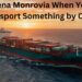 Rena Monrovia: The Ultimate Guide to Safe Transporting by Car in 2025