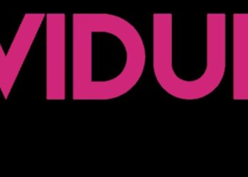 Vidude: Unlocking the Future of Video Sharing in 2025