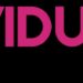 Vidude: Unlocking the Future of Video Sharing in 2025