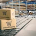 Gray Poplar Dropshipping 101: Your Complete Business Blueprint in 2025