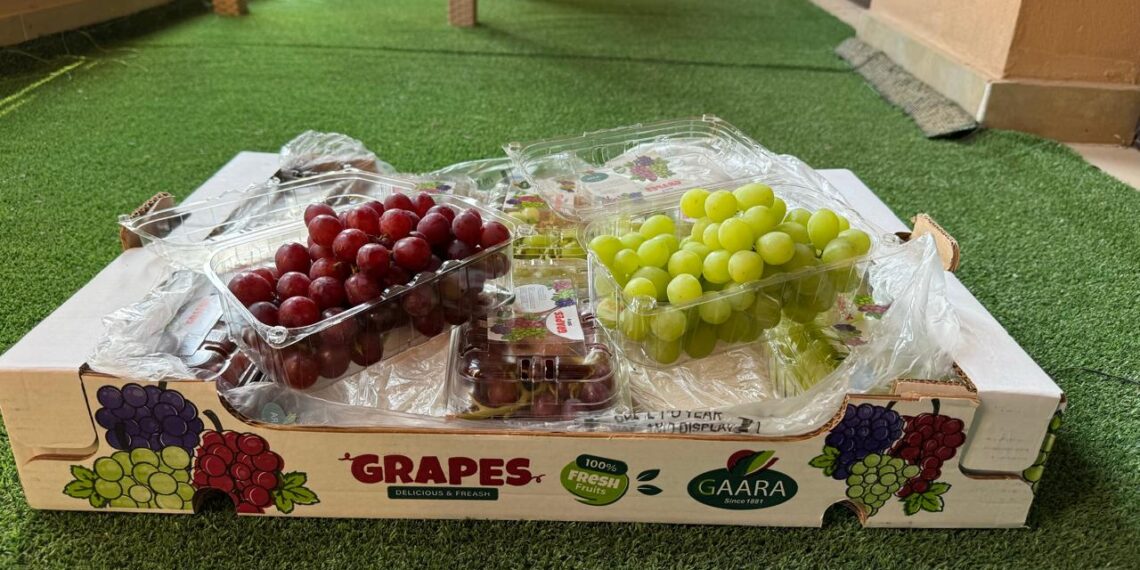 Egypt’s Fruit Exports: A Growing Contributor to Global Markets