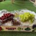 Egypt’s Fruit Exports: A Growing Contributor to Global Markets