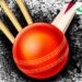 TouchCric: The Go-To Platform for Live Cricket Streaming
