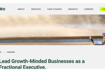 Ampleo: Empowering Businesses Through Fractional Executive Leadership