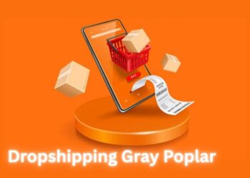 Dropshipping Gray Poplar: A Guide to Launching a Sustainable Niche Business