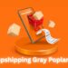 Dropshipping Gray Poplar: A Guide to Launching a Sustainable Niche Business