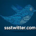 SSSTwitter: The Ultimate Guide to Downloading Videos, GIFs, and Audio from Twitter in 2025