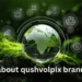 About Qushvolpix : Brand Innovation Leader 2026