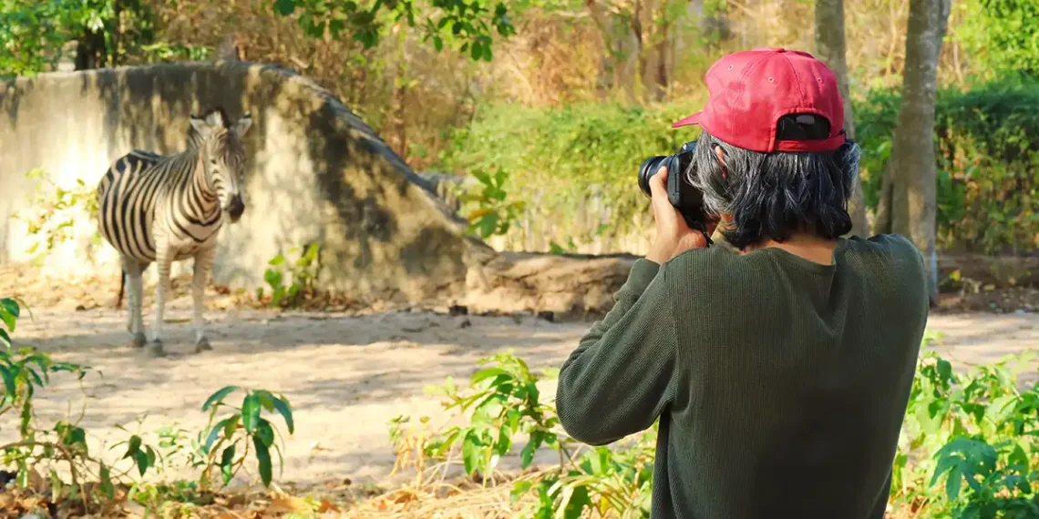 Compare Jim Corbett and Ranthambore for a 5-Day Wildlife Photography Trip in November on a ₹50K Budget: