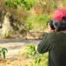 Compare Jim Corbett and Ranthambore for a 5-Day Wildlife Photography Trip in November on a ₹50K Budget: