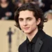 Timothée Chalamet: Movies Career Net Worth and Personal Life