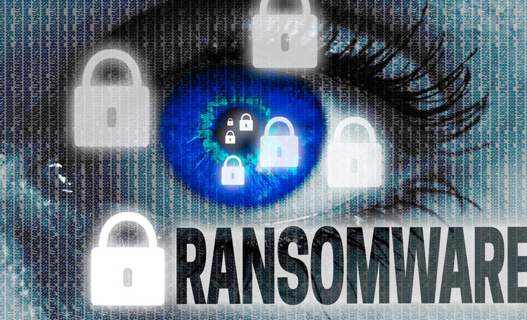 Ransomware Recovery Plan: A Step-by-Step Guide for Small Businesses