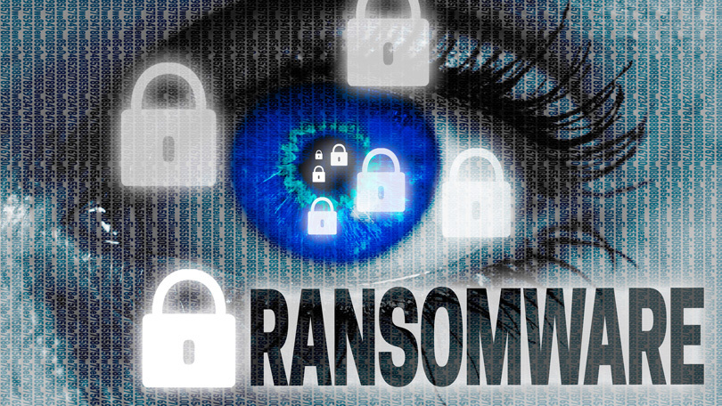 Ransomware Recovery Plan: A Step-by-Step Guide for Small Businesses