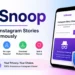 InSnoop Review: Everything You Need to Know About Instagram Story Viewing
