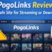 PogoLinks Review: Features, Safety Legality & How It Works