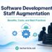 Software Development Staff Augmentation: Benefits Costs and Best Practices